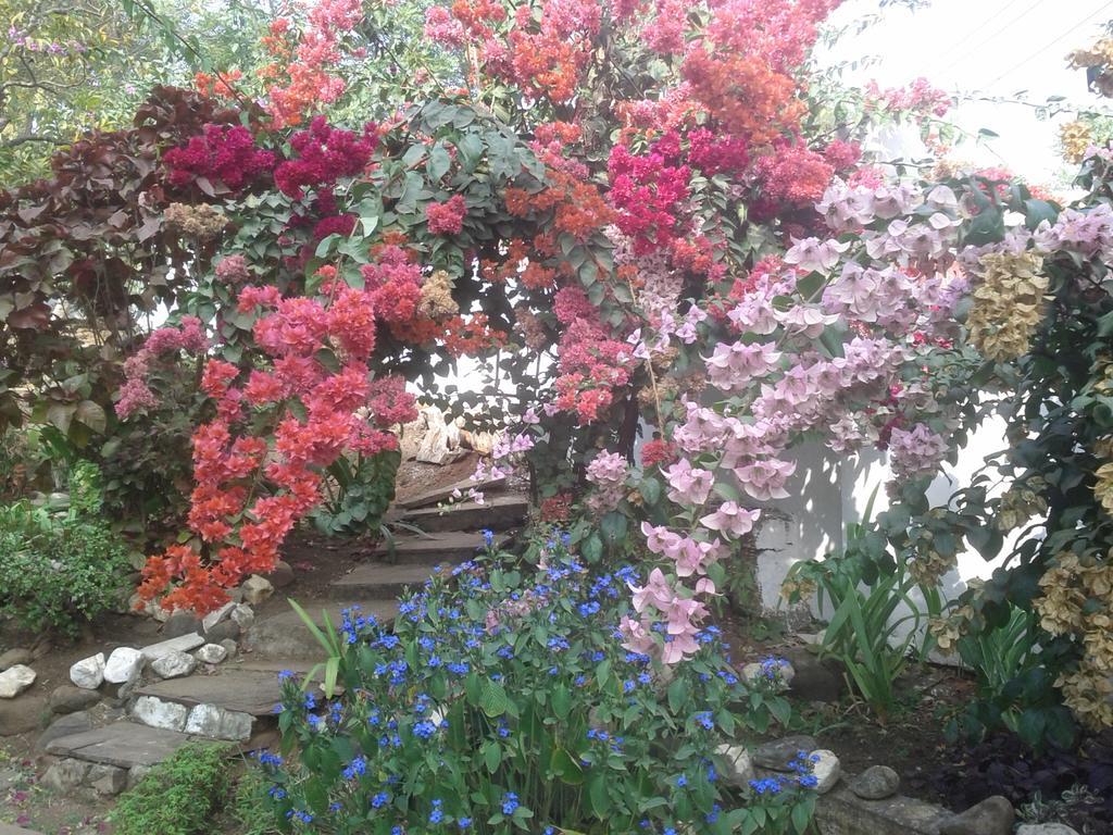 Jheelam Homestay Bhopal Eksteriør billede
